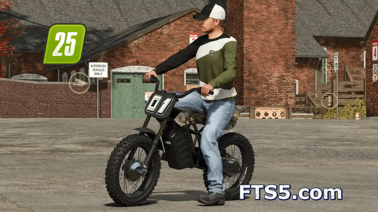 蜥蜴 DT-E 摩托车 v1.0