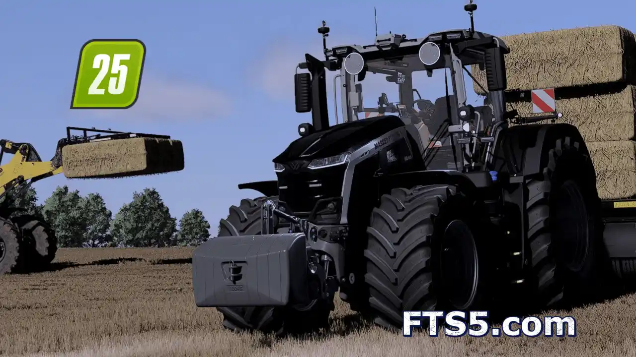 麦赛福格森 9S 微调版 v1.1