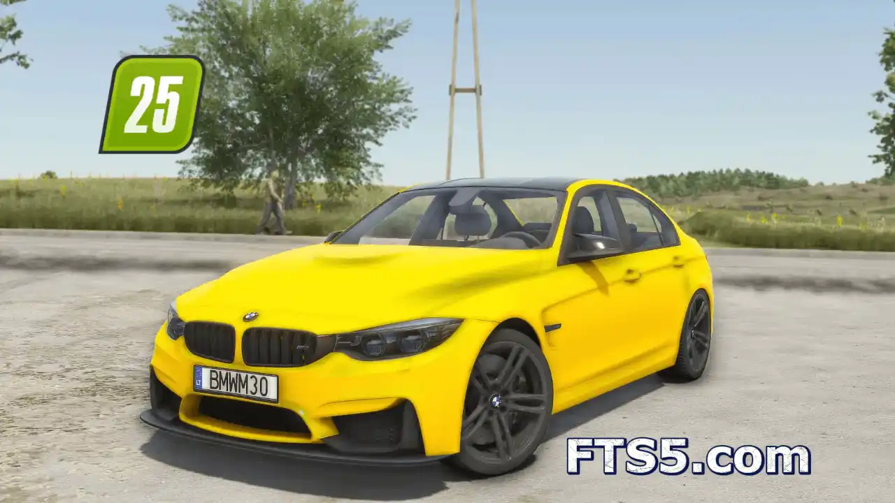 支持乘客丨宝马 M3 F80 汽车模组 v1.0.0.1