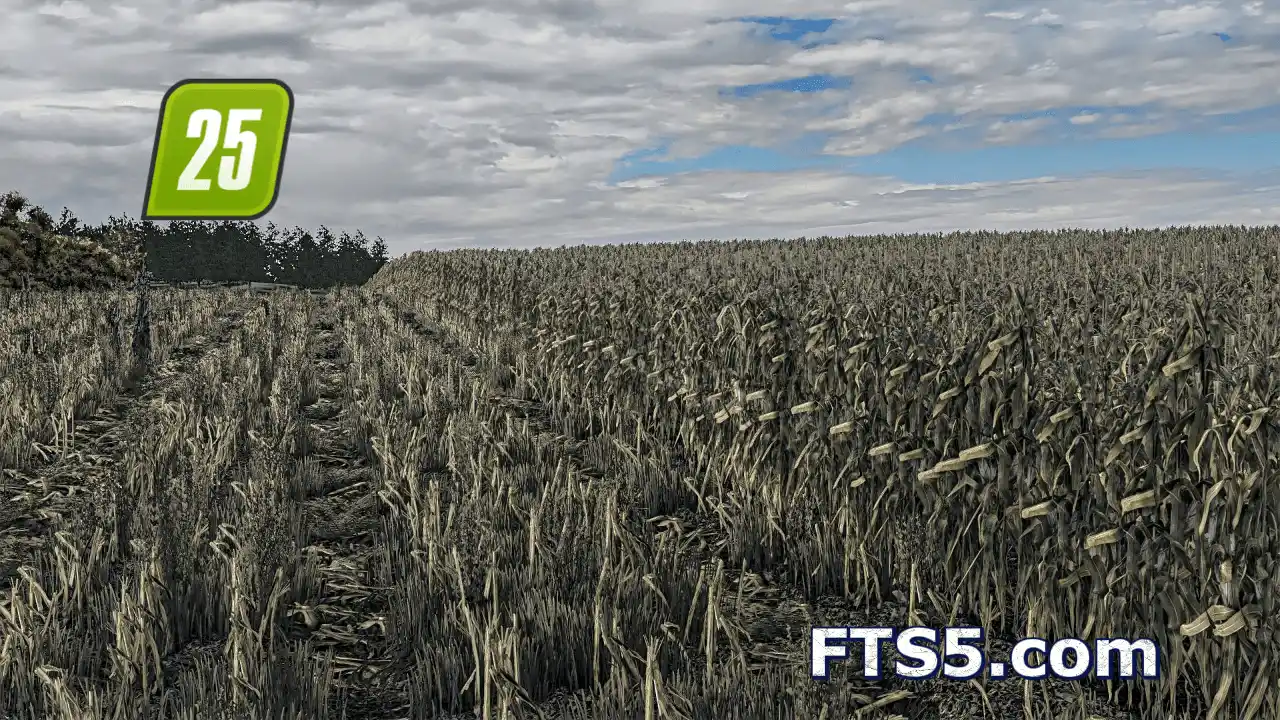 玉米纹理材质 高密度版 v1.0