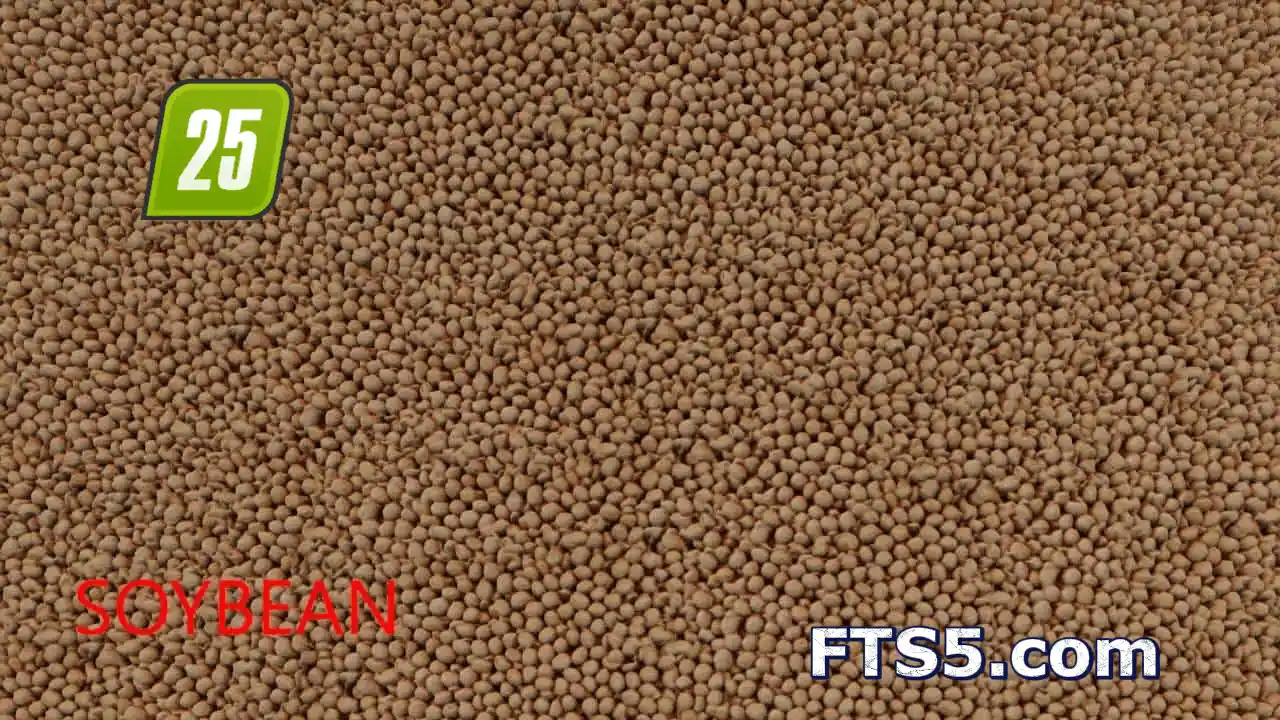 散状谷物纹理材质包 v1.0