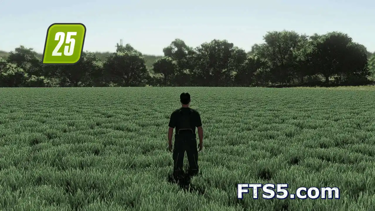 真实小麦 & 大麦 – 欧洲生长周期 v1.0