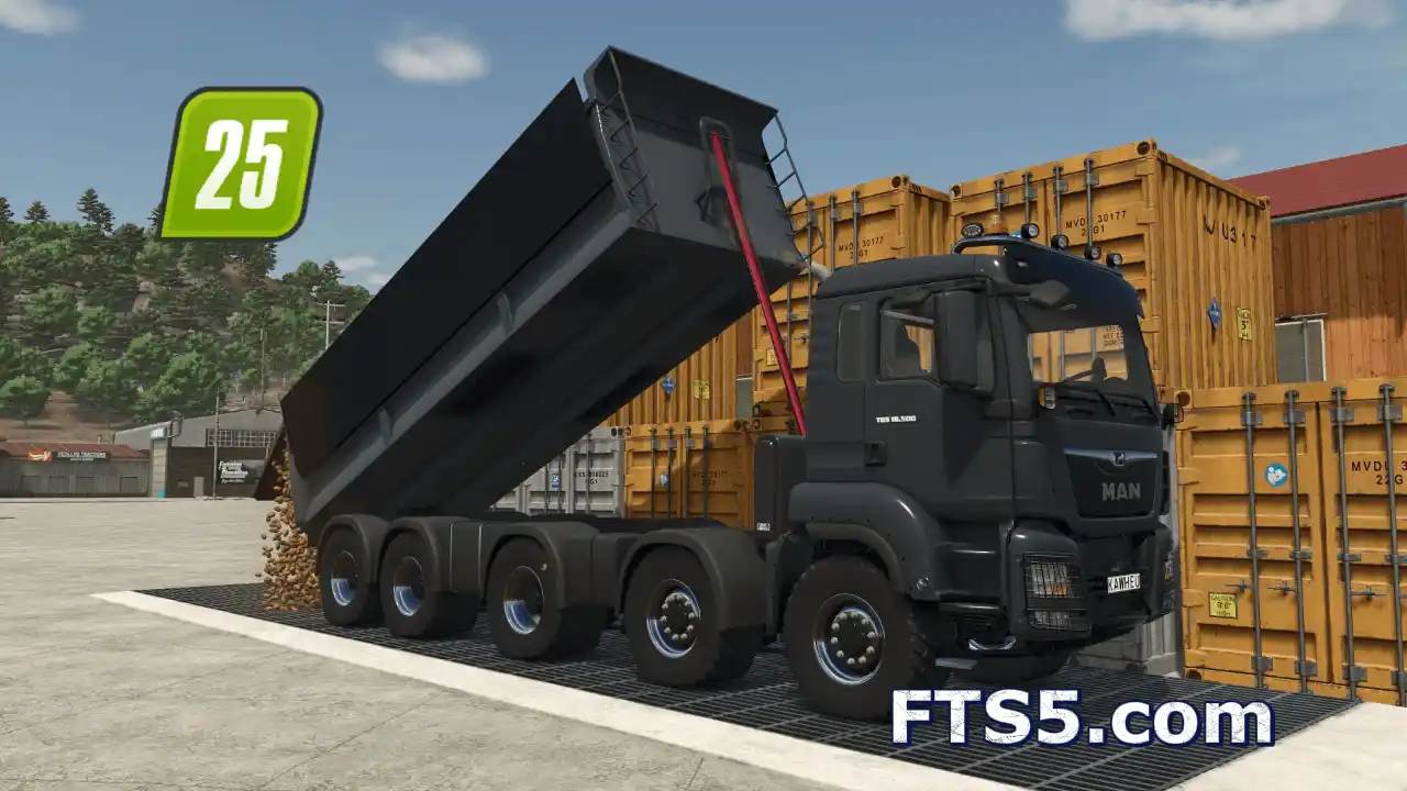 MAN TGS 18.500 鲱鱼 v1.0
