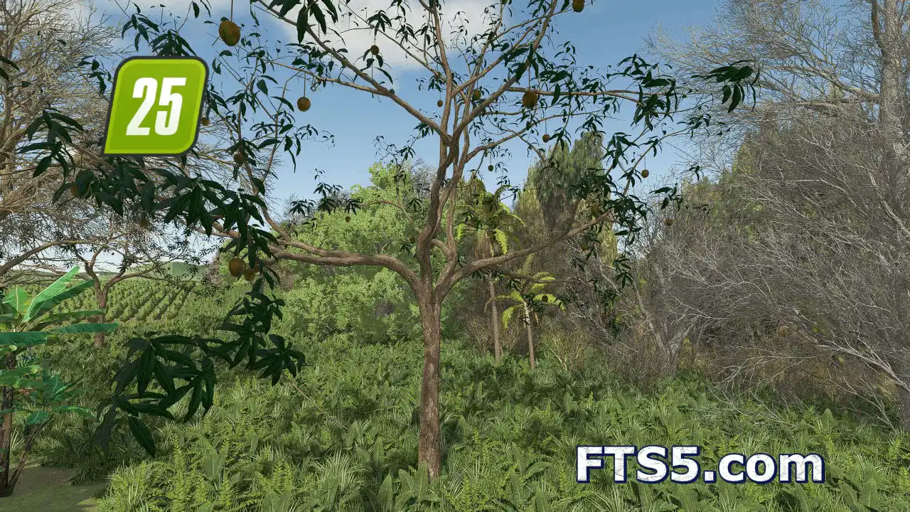 [装饰]芒果树 v1.0