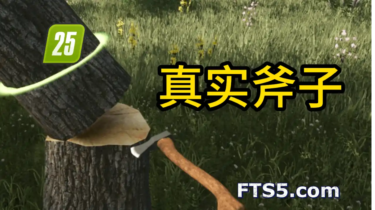 真实斧子 V1.0.0.1