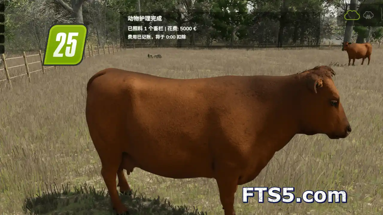 动物自动喂养  v1.2