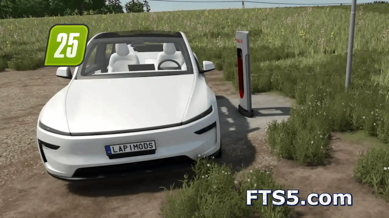 2025 特斯拉 Model Y v1.0