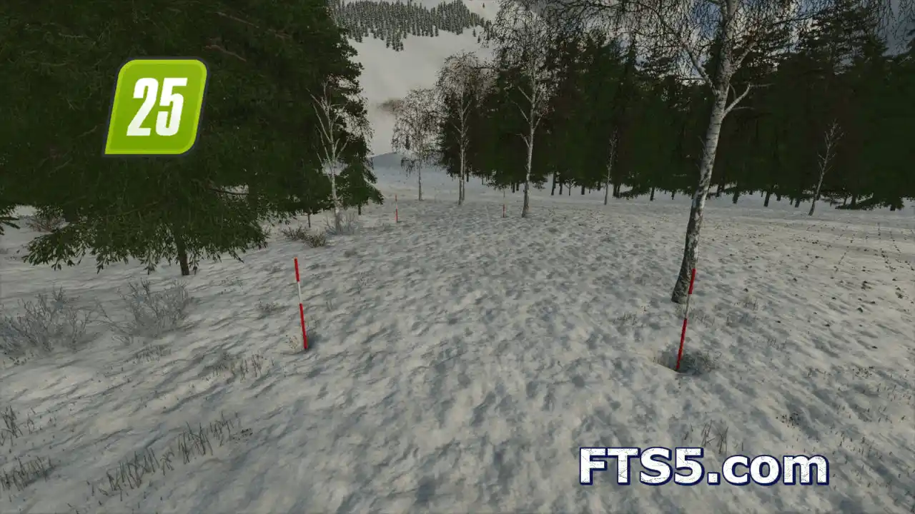 瑞典式雪杆 v1.0