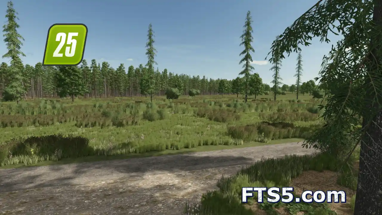 阳光森林 V1.0.0.6