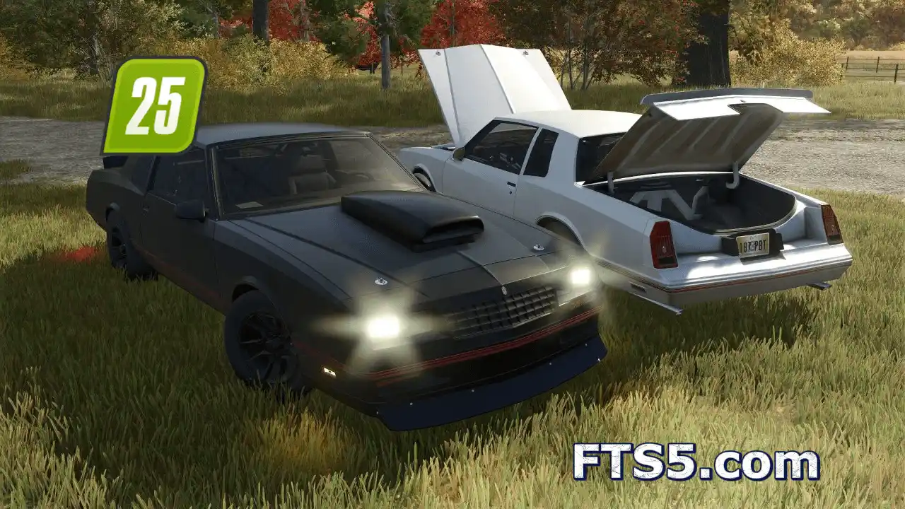 1987 雪佛兰 Monte Carlo v1.0