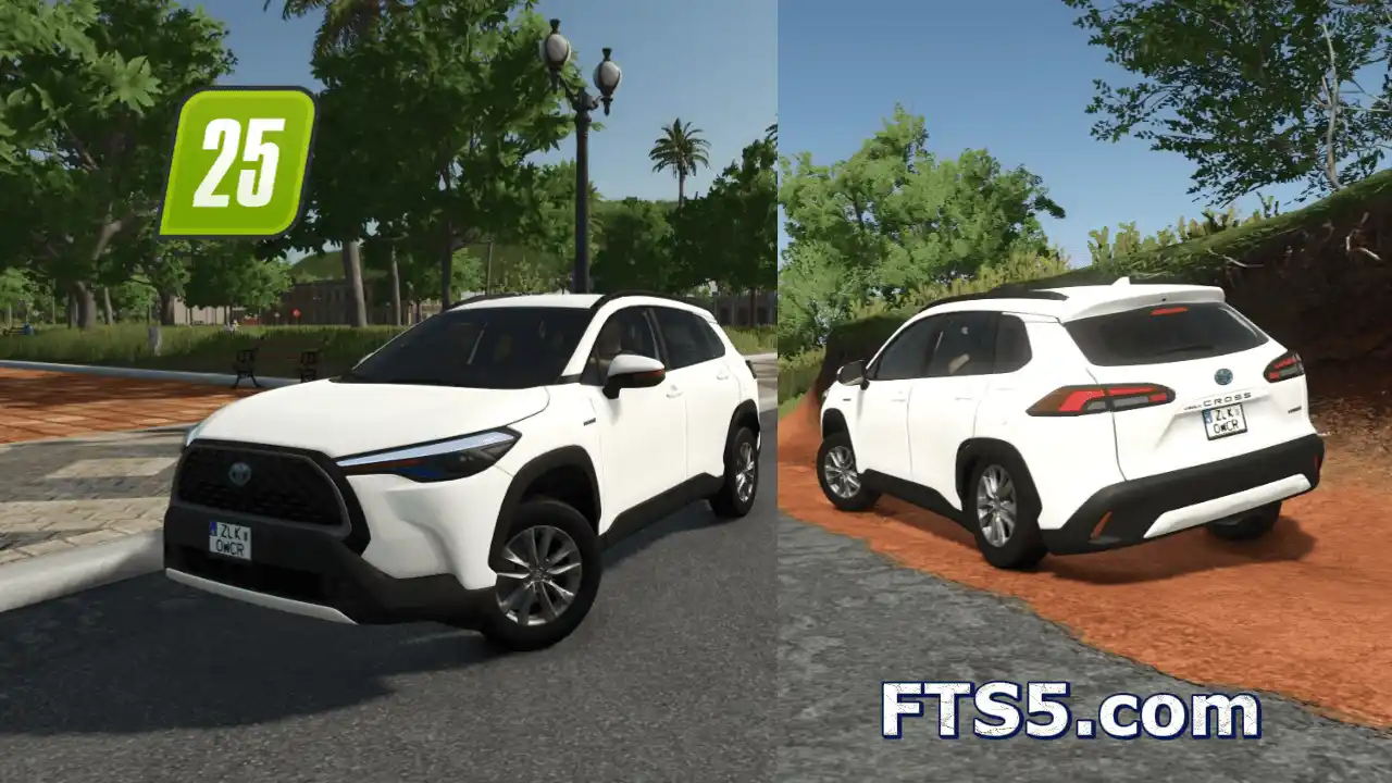 2021款 丰田卡罗拉 Cross v1.0