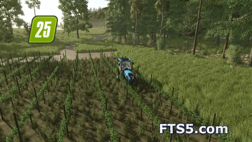 葡萄与橄榄行距扩展 v1.0