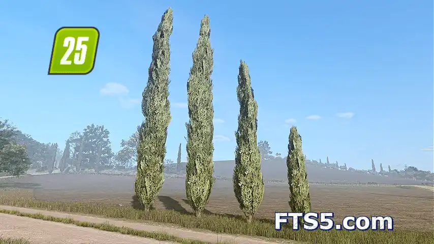 柏树包 v1.0