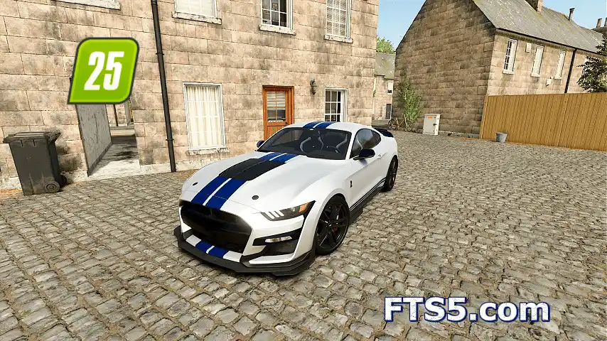 2020款 福特野马 Shelby GT500 v1.0